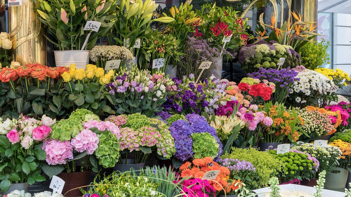 Auslage eines Blumengeschäfts mit bunten Schnittblumen in Eimern und Preisschildern