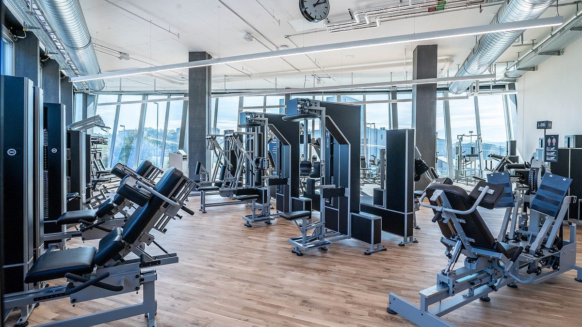Heller Trainingsbereich eines Fitnessstudios mit Kraftgeräten, Fensterfront und Holzboden