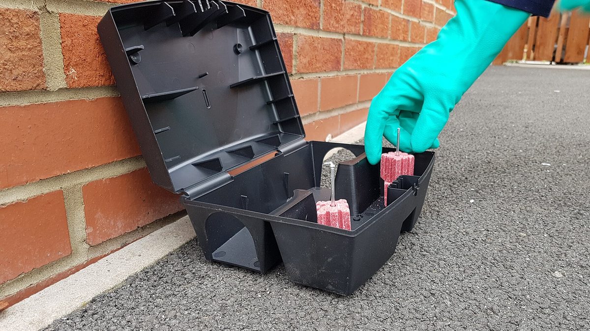 Hand im Schutzhandschuh legt Köder in eine schwarze Köderbox an einer Hauswand